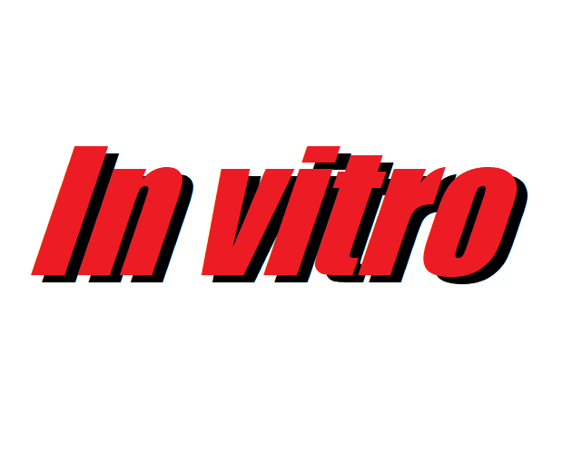 In vitro