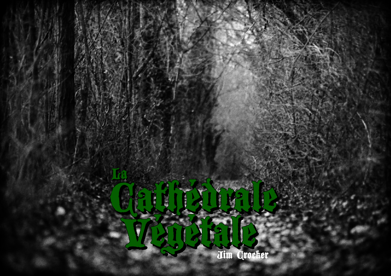 Cover image for La Cathédrale Végétale