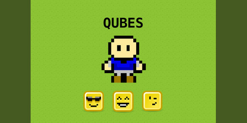 Cover image for Qubes
