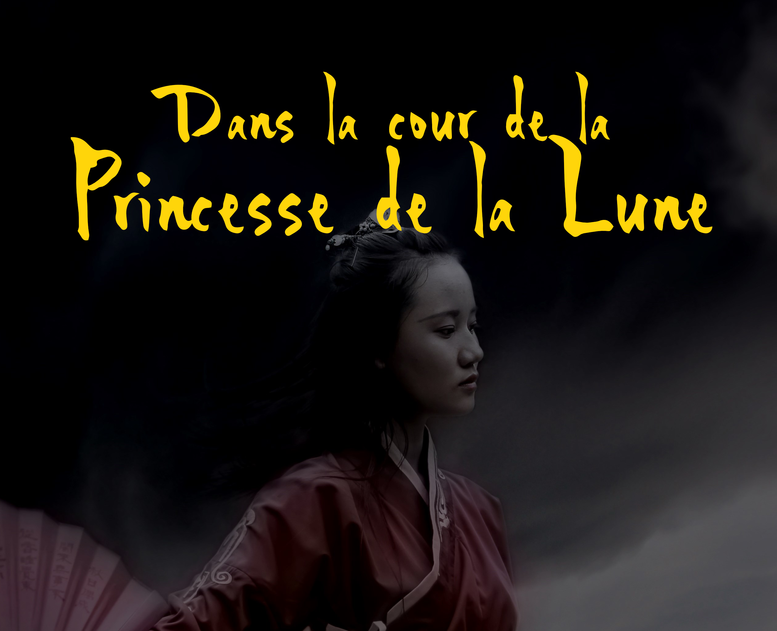 Cover image for Dans la cour de la Princesse de la Lune