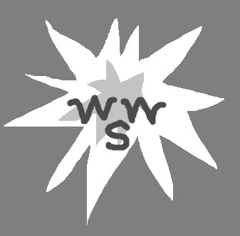 World War Shooter
