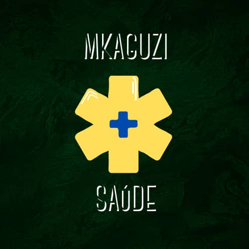 Mkaguzi Saude