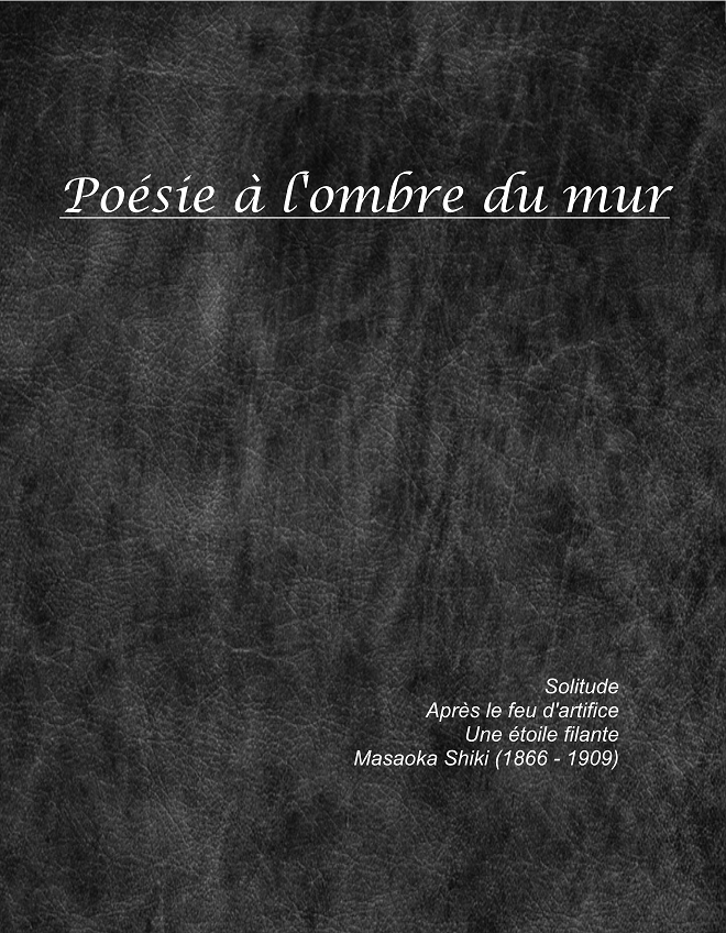 Cover image for Poésie à l'ombre du mur