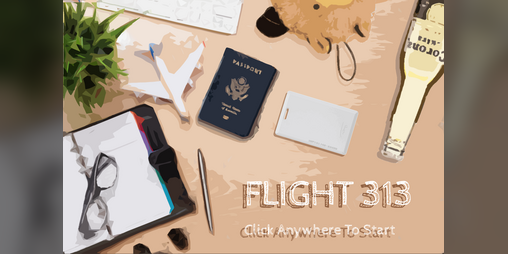 Cover image for Flight313