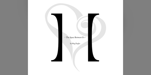 Cover image for The Space Between Us