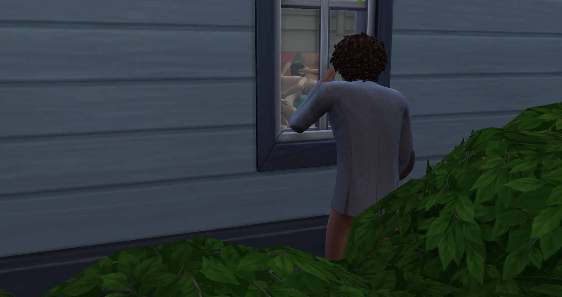 Voyeurism - Window Peeping pic picture