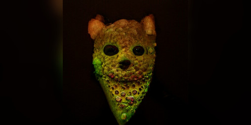 Cover image for Not Scary, Didn't Scare
