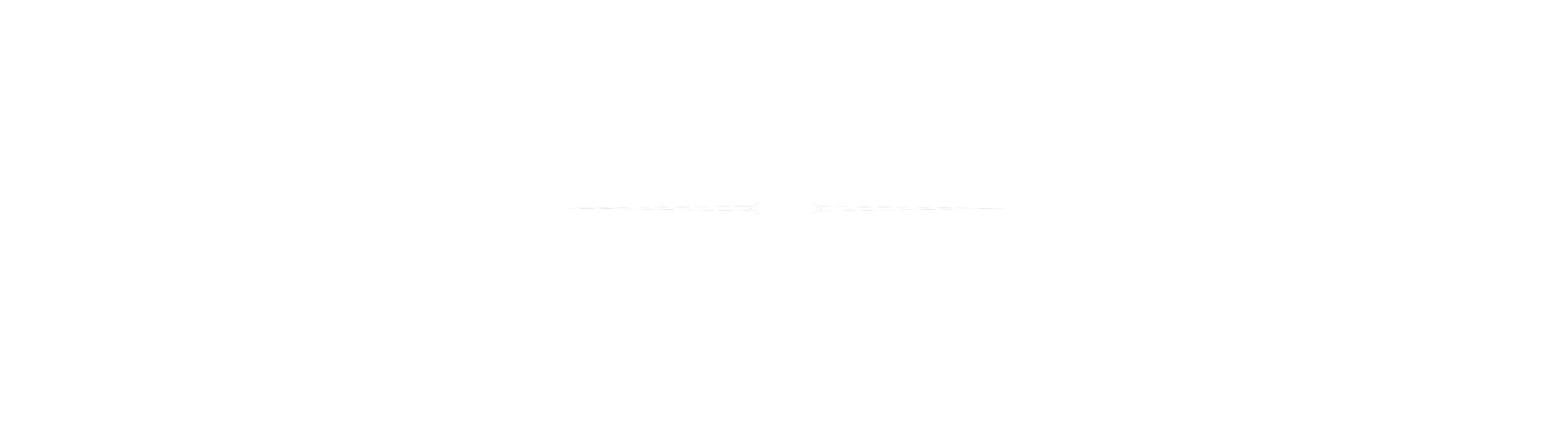 Master of Salem
