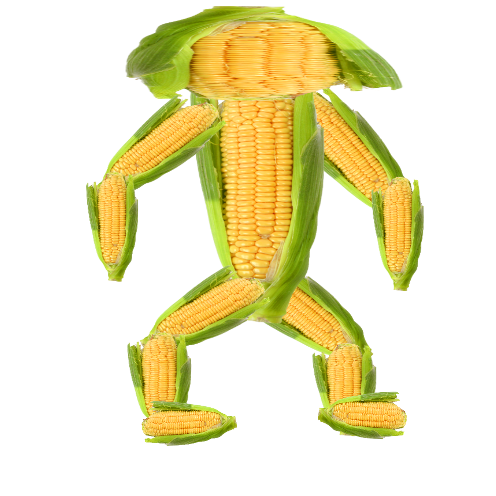 Corn Man (demo) by Doorknob