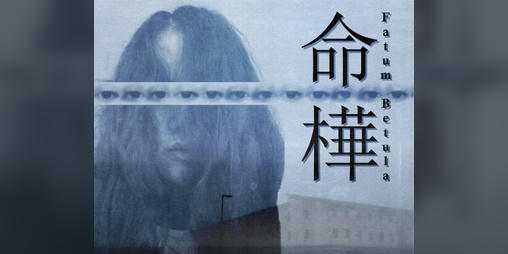 Cover image for Fatum Betula