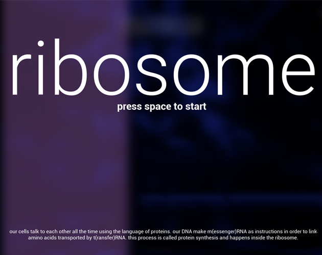 Ribosome