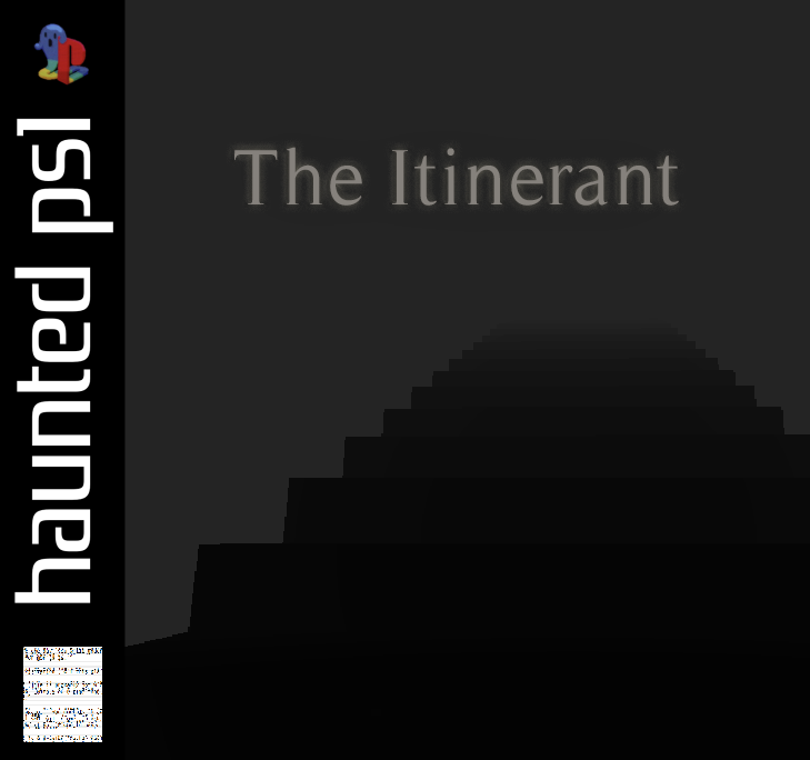 Cover image for The Itinerant