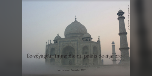 Cover image for Le voyageur immobile du palais de marbre