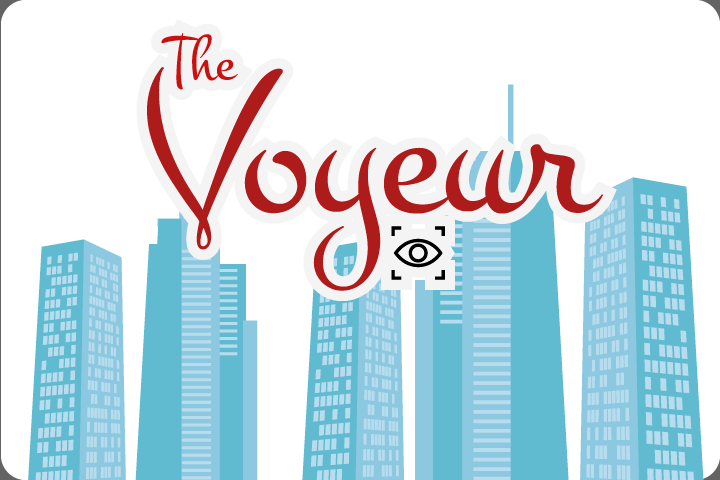 Cover image for The Voyewr