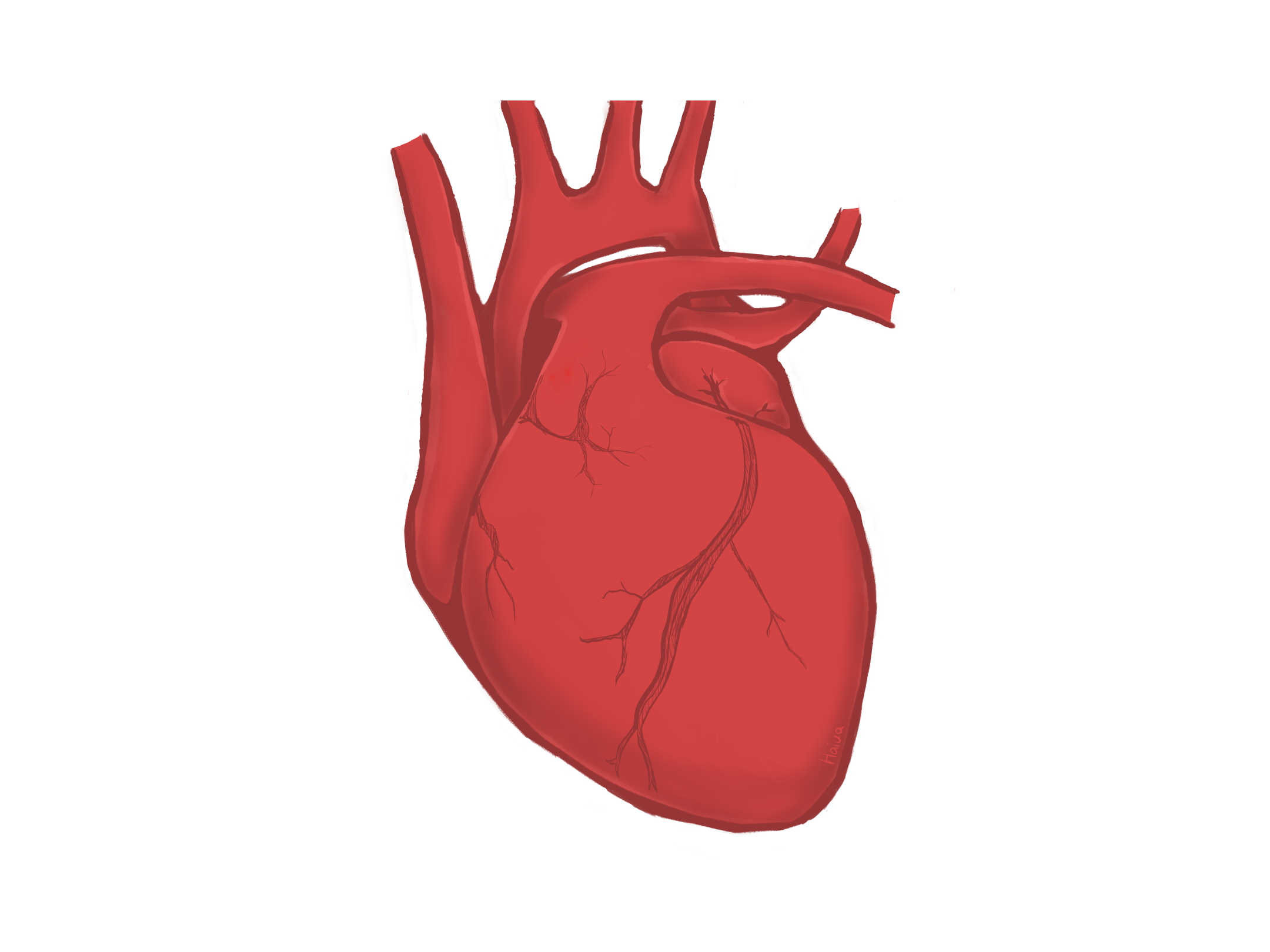 Heart background design
