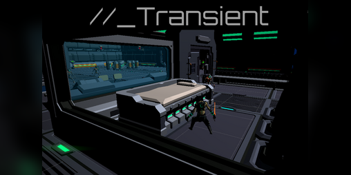 Cover image for Transient