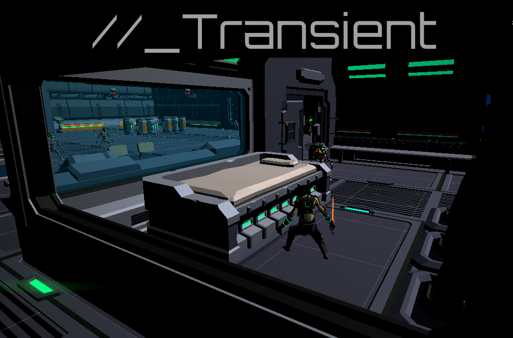 Cover image for Transient