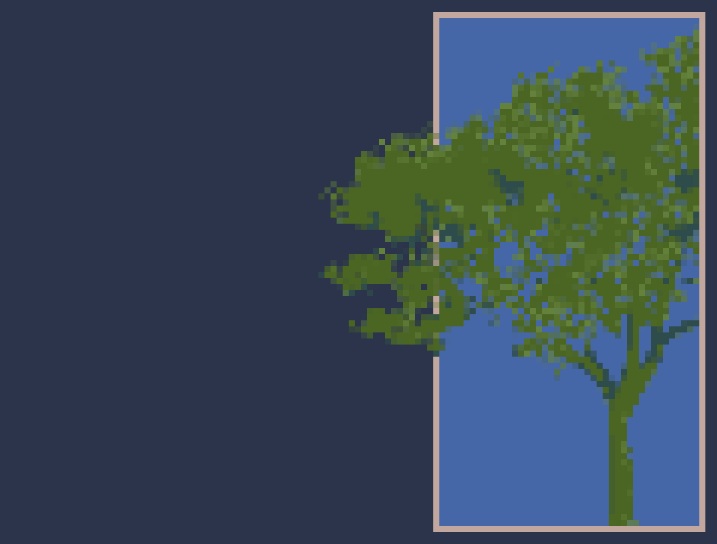 Cover image for a tree in memory