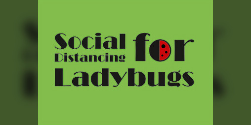 Cover image for Social Distancing For LadyBugs