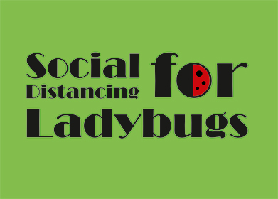 Cover image for Social Distancing For LadyBugs