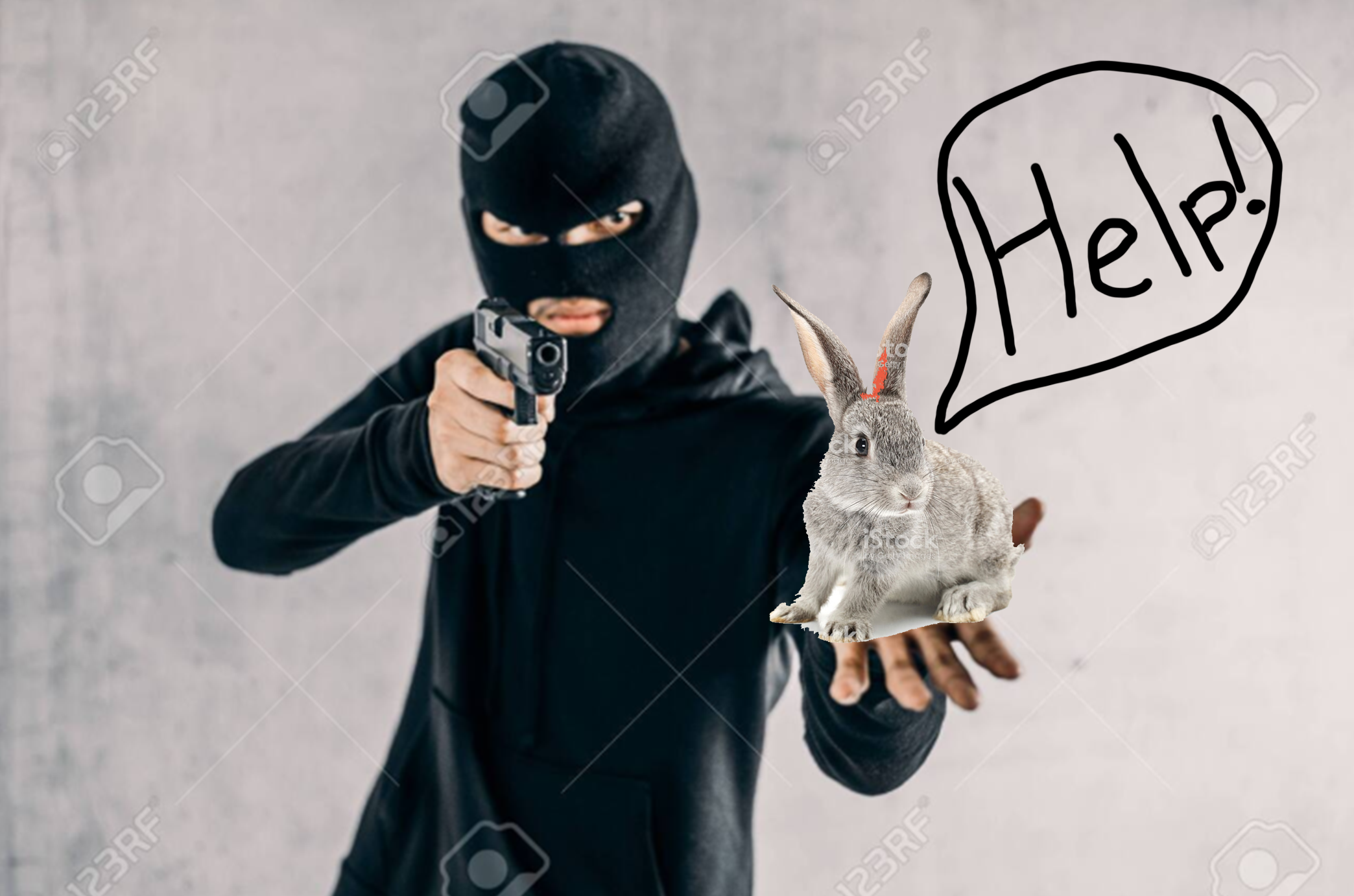 Cover image for Bunny Stealer Pro