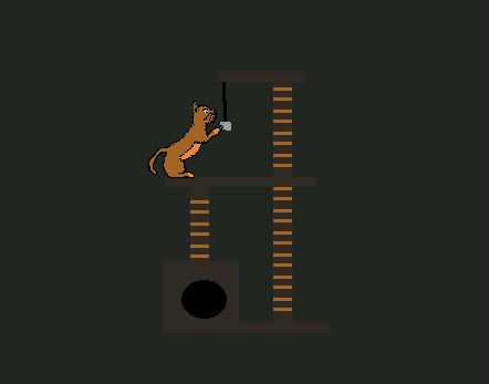 A Cats Journey
