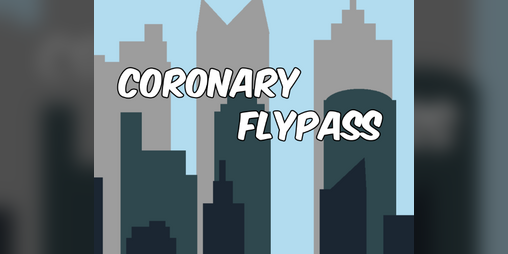 Cover image for Coronary Flypass