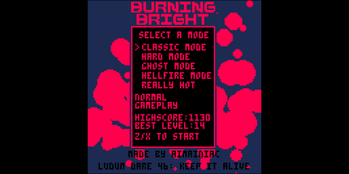 Cover image for Burning Bright
