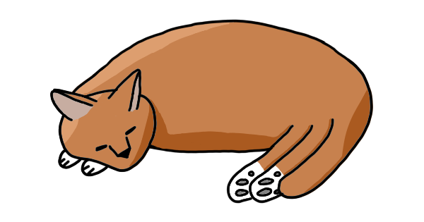 Cover image for Feed the cat