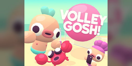 Cover image for Volley Gosh