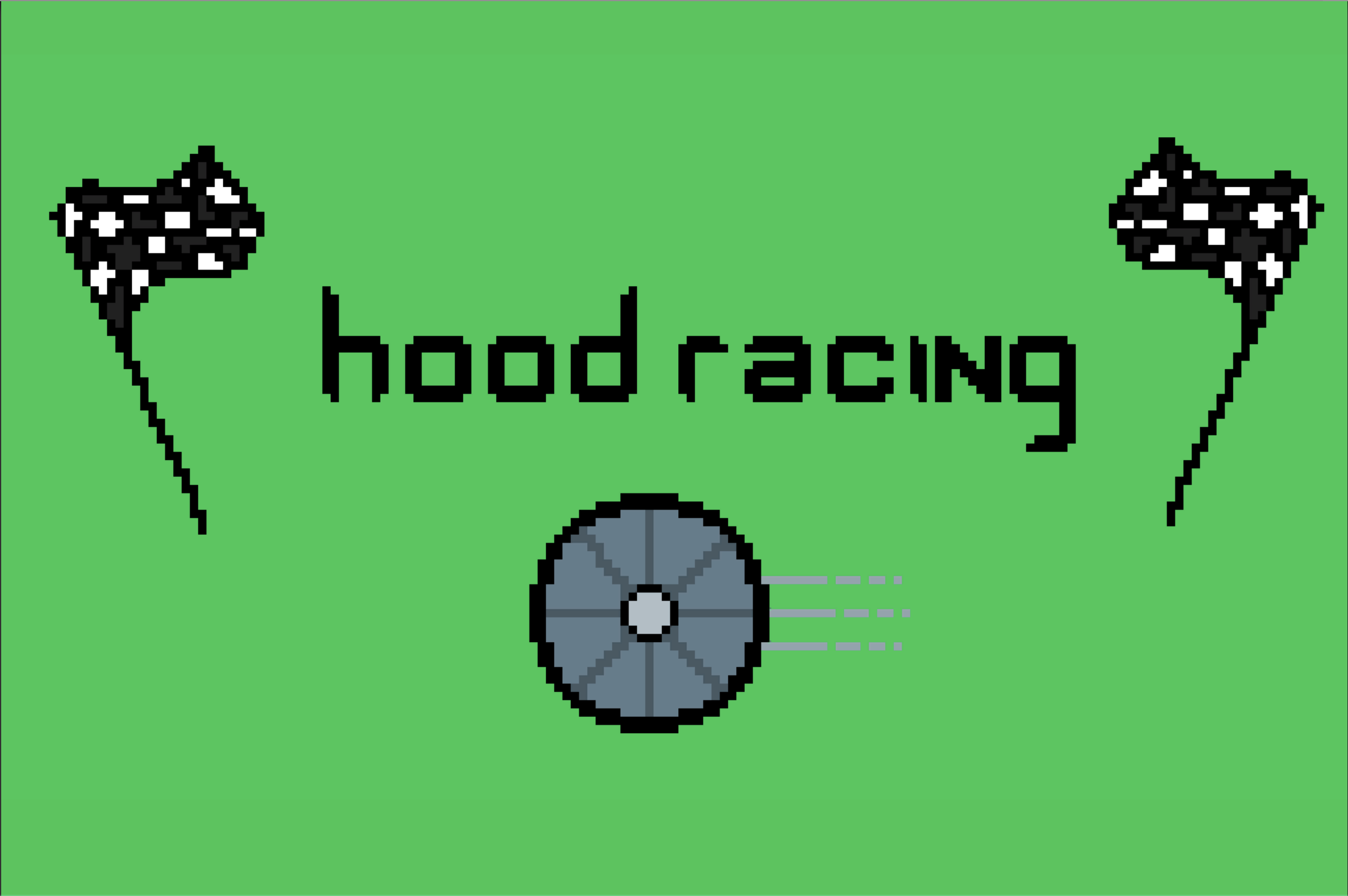 Cover image for hood racing
