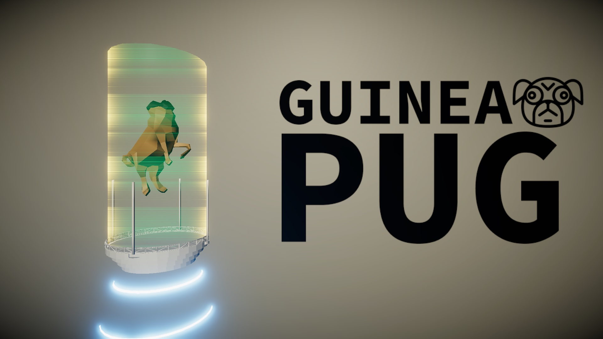 Guinea Pug