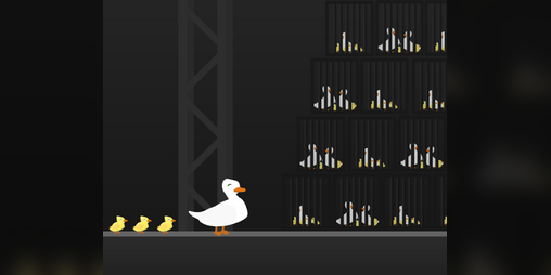Cover image for Duck Tails