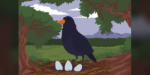 Cover image for Blackbird