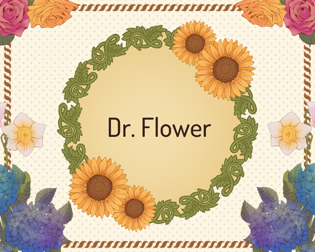 Cover image for Dr. Flower