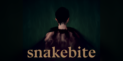 Cover image for snakebite