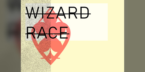 Cover image for Wizard Race
