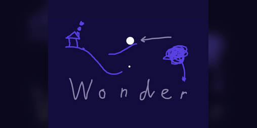Cover image for Wonder