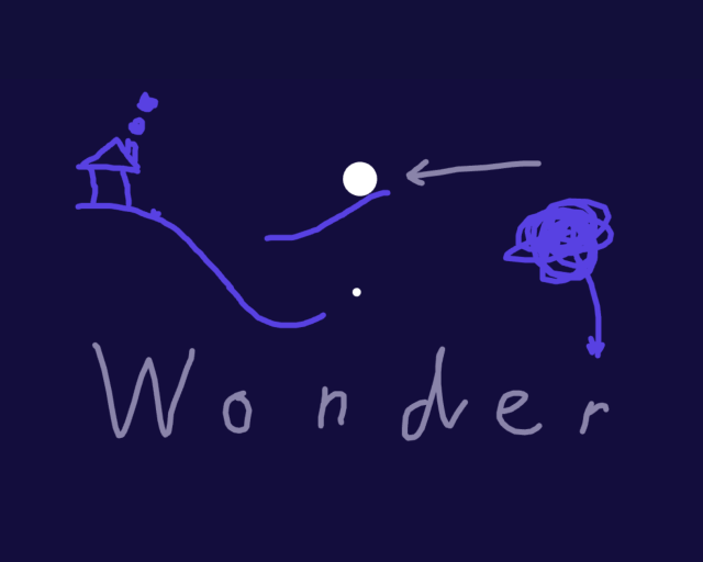 Cover image for Wonder