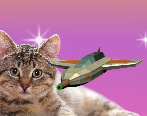 Cover image for Space Cats!