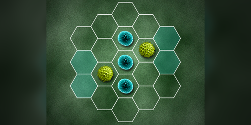 Cover image for Micro-Versus
