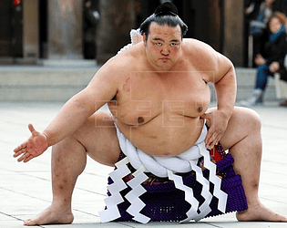 sumo