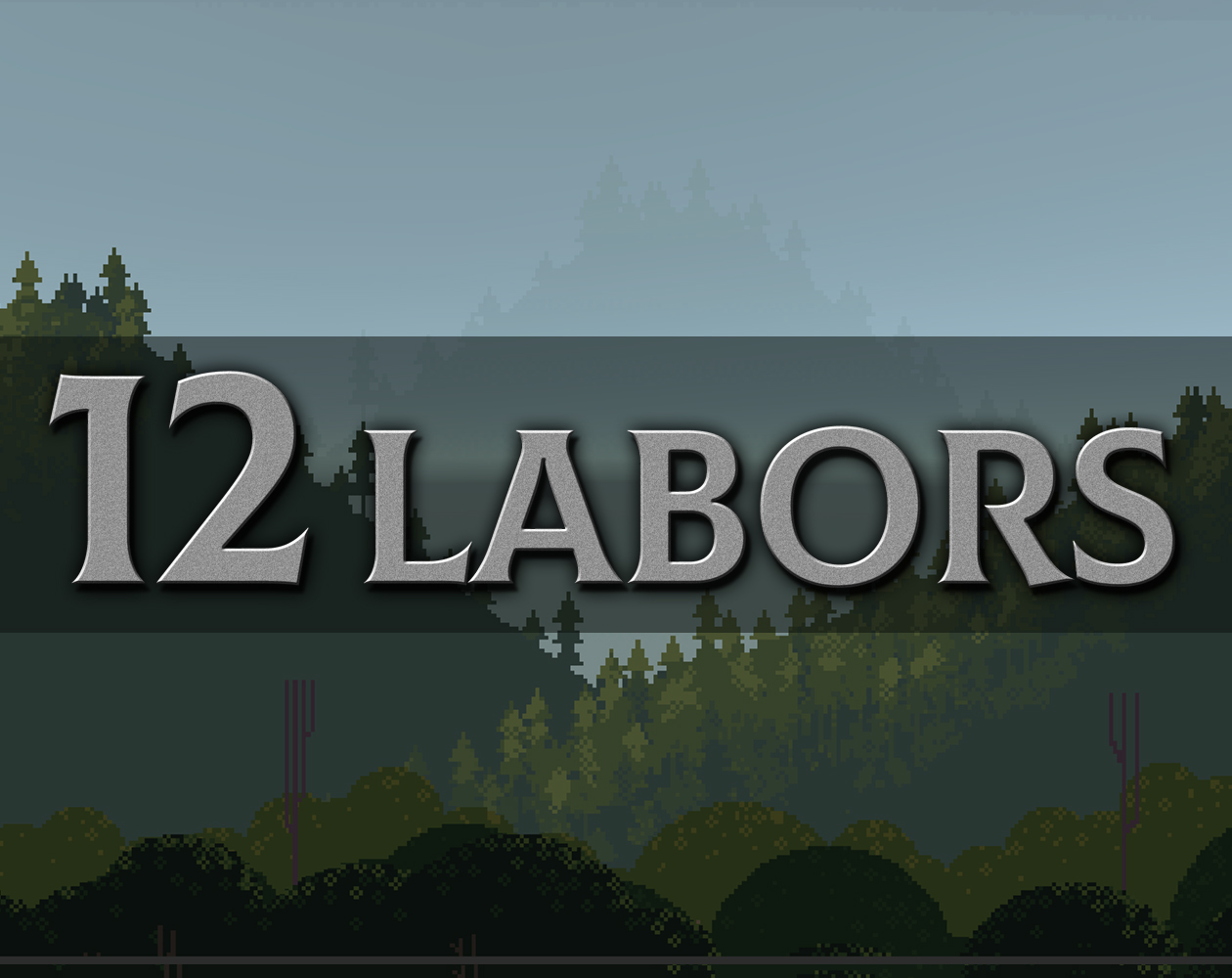 Cover image for 12 Labors