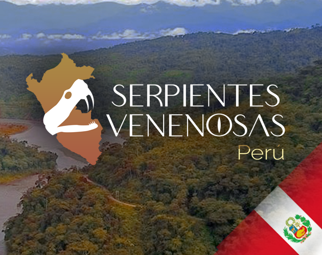 Cover image for Serpientes Venenosas Perú-Venomous Snakes Perú