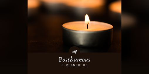 Cover image for Posthumous