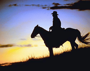 Cowboy on a Search