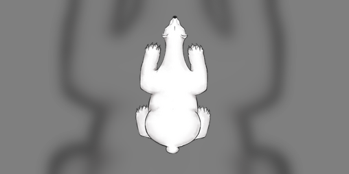 Cover image for Supervivencia Polar