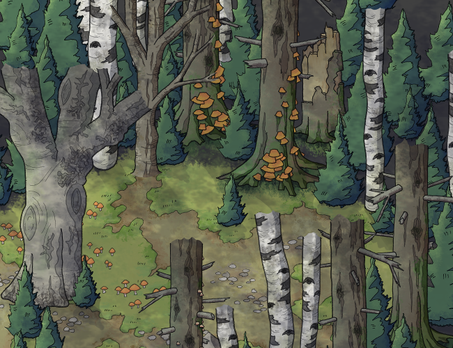 Cover image for Sketch: Woodlands