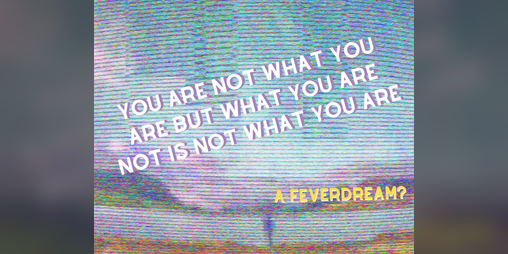 Cover image for YOU ARE NOT WHAT YOU ARE BUT WHAT YOU ARE NOT IS NOT WHAT YOU ARE
