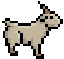 Cover image for Goat Race!